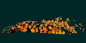 dřevo 4 / wood 4, 190x95 cm, digitální grafika / digital graphic, 2013